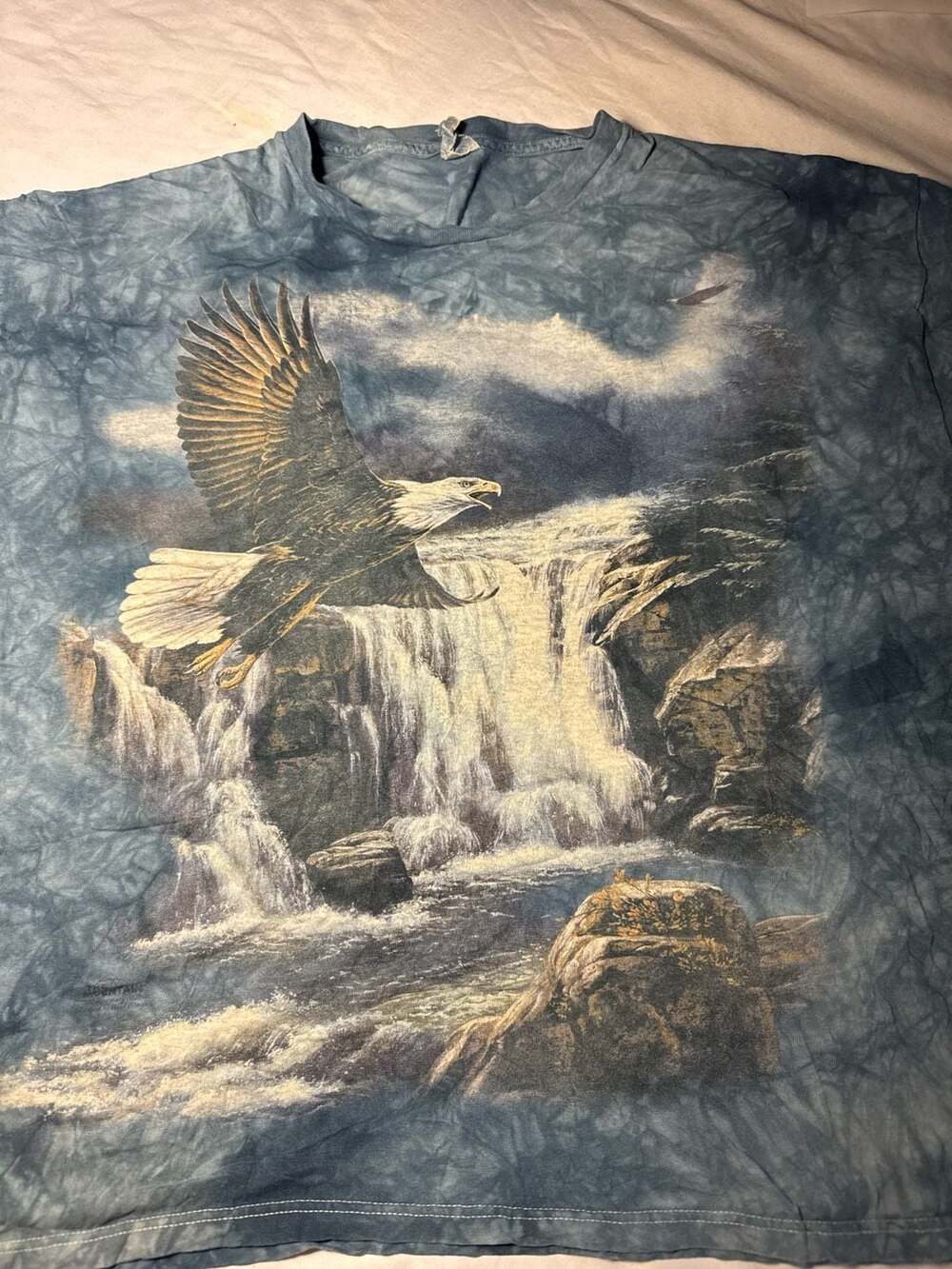 Vtg. The Mountain Bald Eagle Graphic T-shirt Small R. Millette 2000 Wild Wings